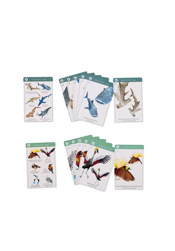 Juego de 7 familias especies Tout autour du monde MOULIN ROTY