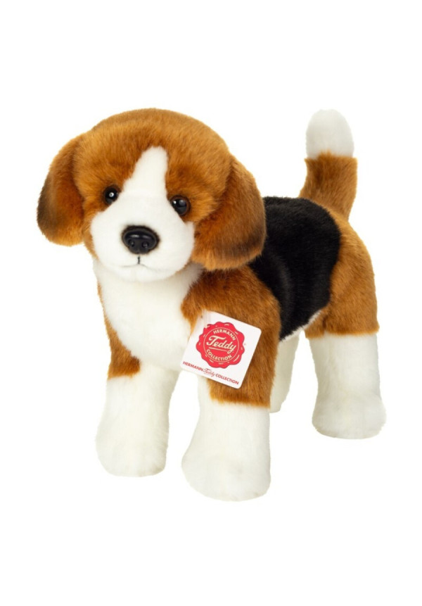 Beagle de Pie 23 cm