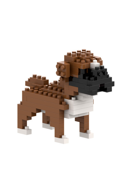 BOXER BRIXIES