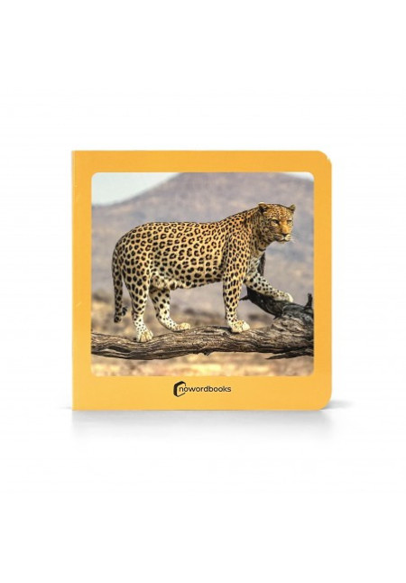 Los Animales Salvajes NOWORDBOOKS