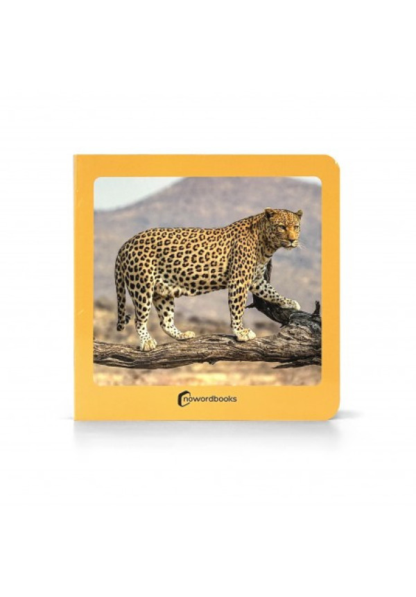 Los Animales Salvajes NOWORDBOOKS