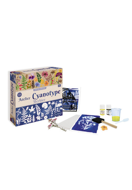 Atelier Cyanotype Herbier SENTOSPHERE