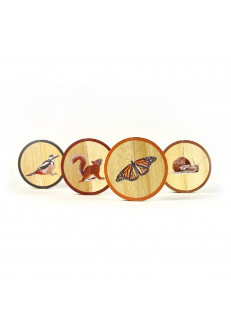 Circles Los Animales del Bosque NOWORDBOOKS