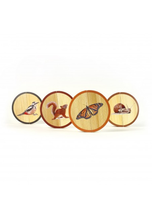 Circles Los Animales del Bosque NOWORDBOOKS
