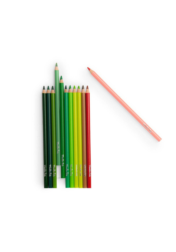 12 lápices de colores + tarjetas El botanista MOULIN ROTY