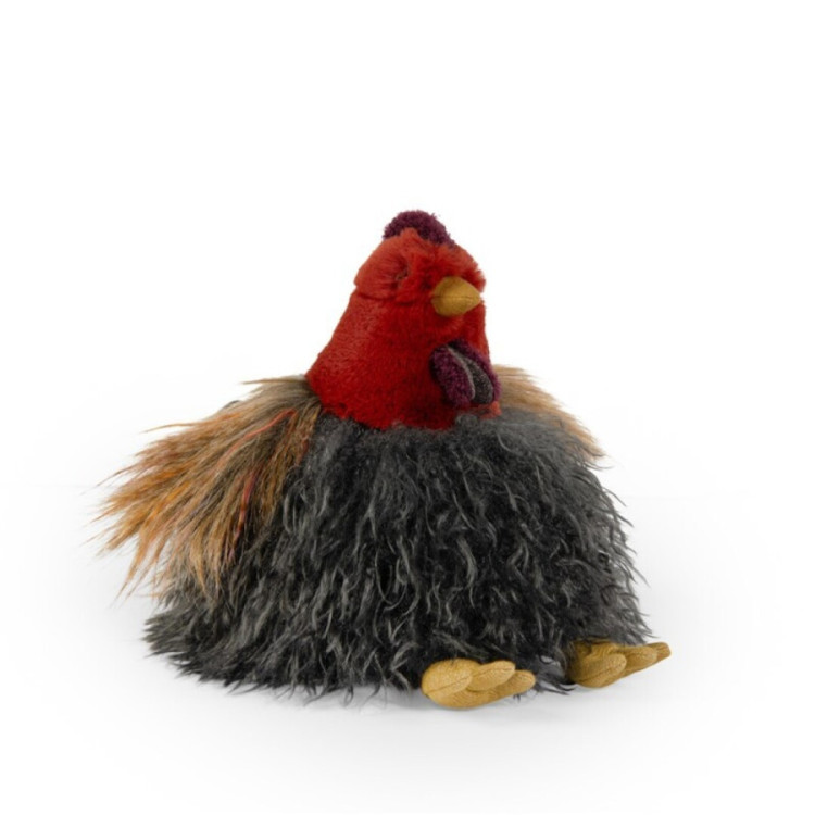 Gallina Tout autour du monde