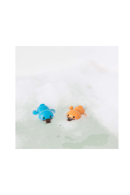 Bath Racers Platypuses TIGERTRIBE