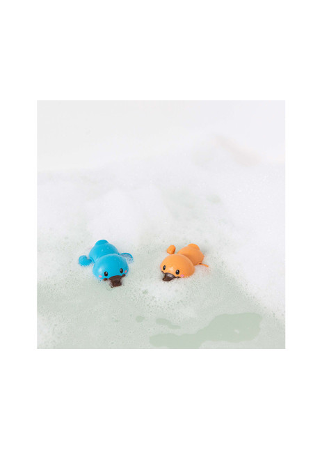 Bath Racers Platypuses TIGERTRIBE