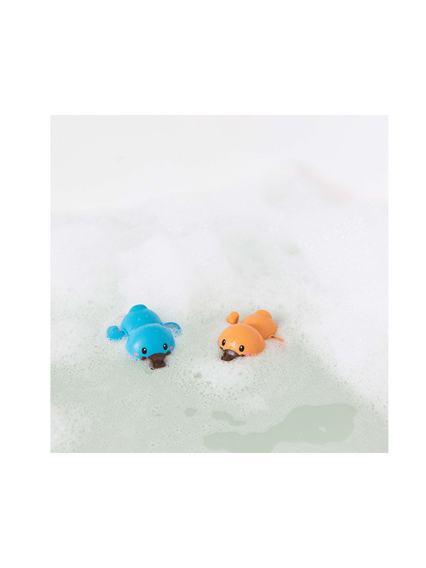Bath Racers Platypuses TIGERTRIBE