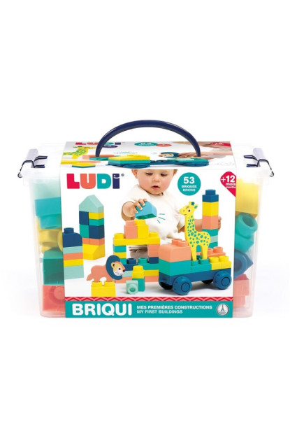 Ludi Briqui mis primeras construcciones