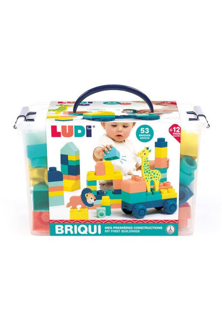 Ludi Briqui mis primeras construcciones