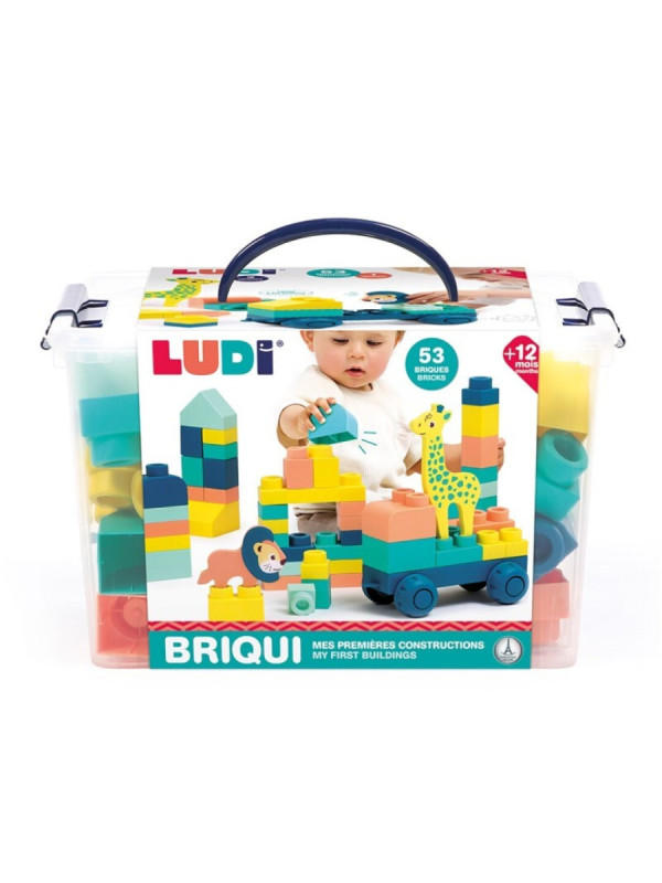 Ludi Briqui mis primeras construcciones