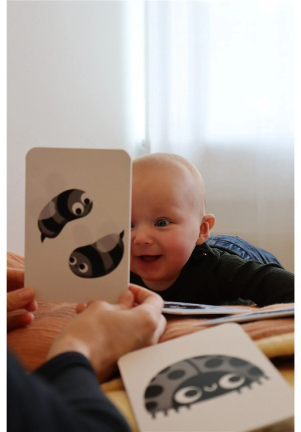 Cartas de contrastes para bebés