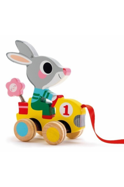 Baby color Arrastre Roulapic DJECO