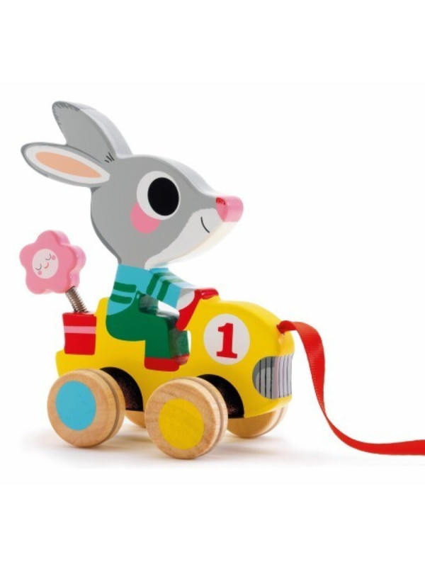 Baby color Arrastre Roulapic DJECO