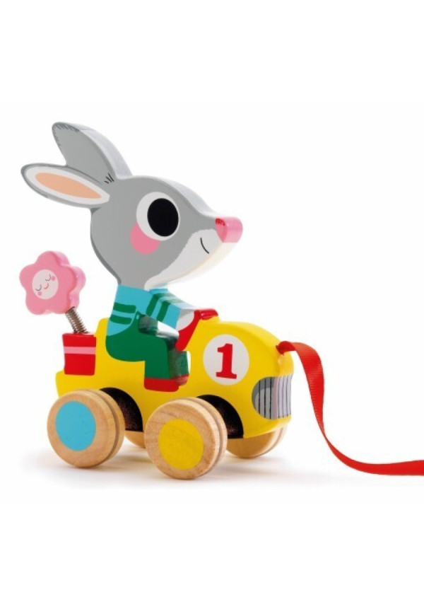 Baby color Arrastre Roulapic DJECO