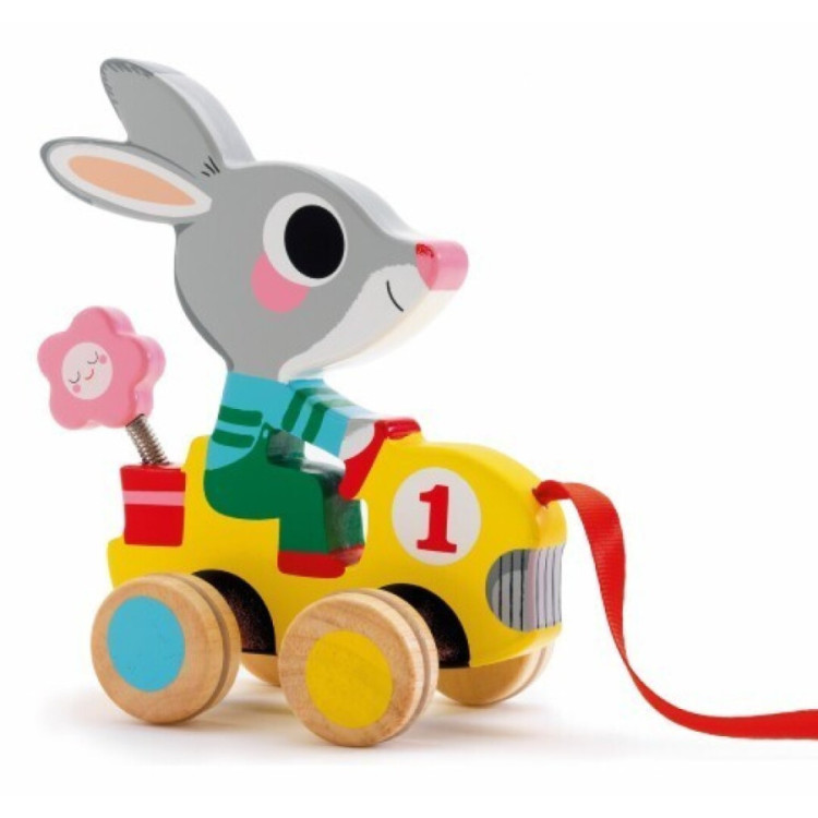 Baby color Arrastre Roulapic DJECO