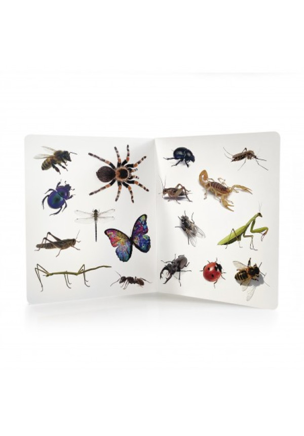 ¡Animales! NOWORDBOOKS