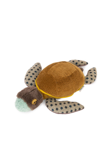 Tortuga pequeña Tout autour du monde MOULIN ROTY