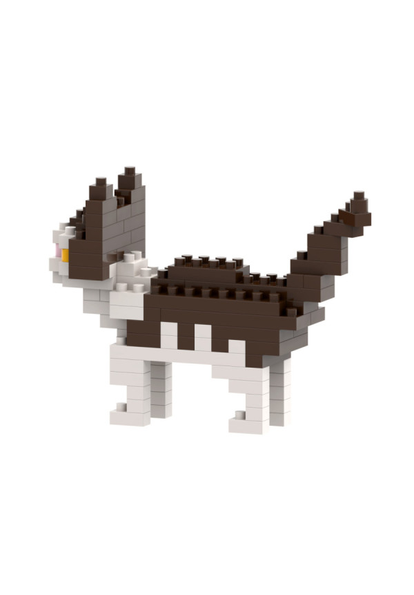 GATTO BRIXIES