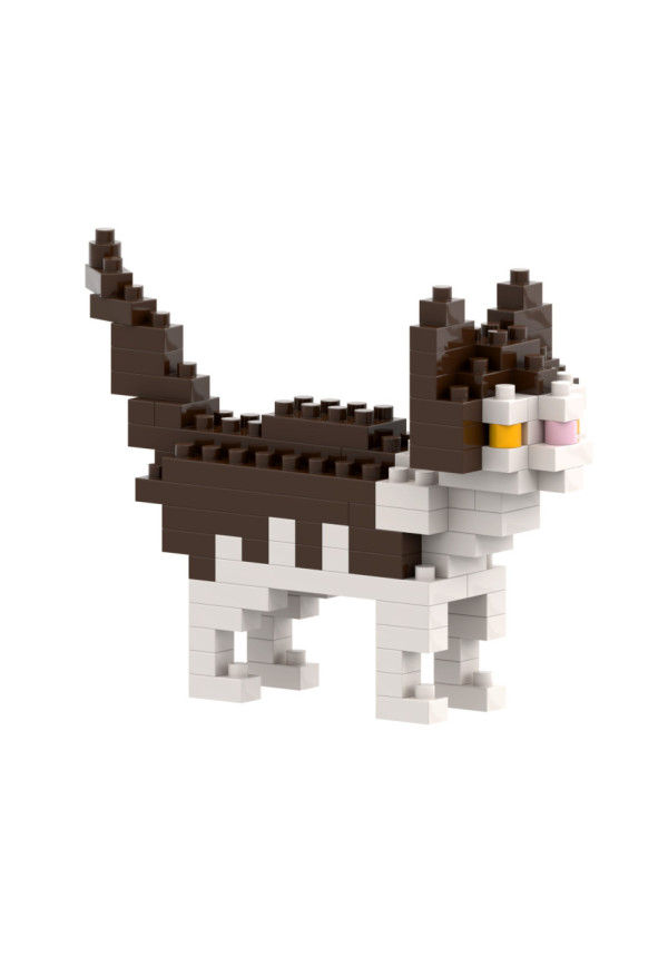 GATTO BRIXIES