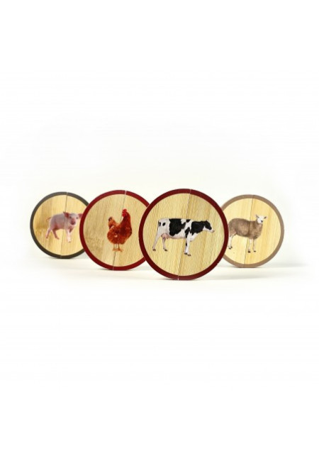 Circles Los Animales de Granja NOWORDBOOKS