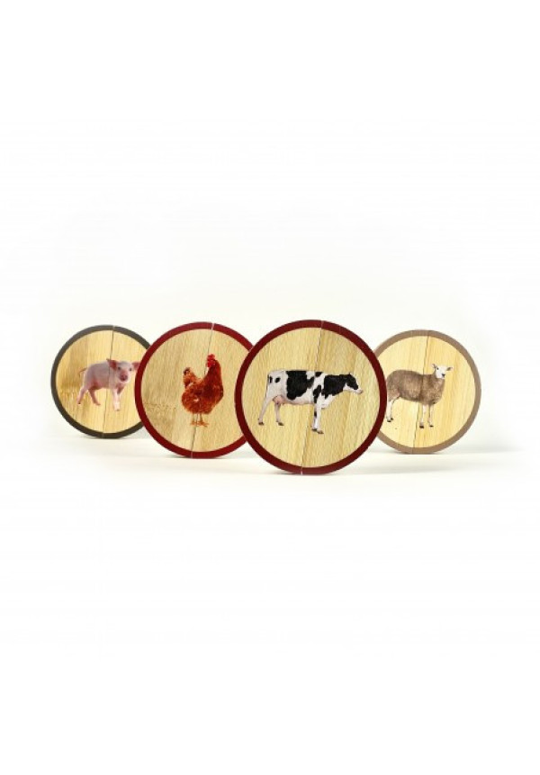 Circles Los Animales de Granja NOWORDBOOKS