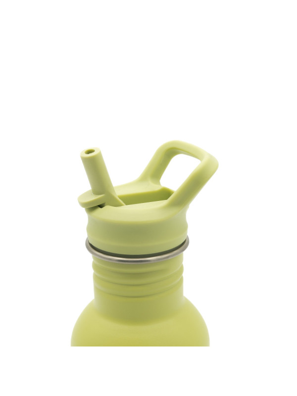 Botella Acero Inox Dinosaurio SASSI 