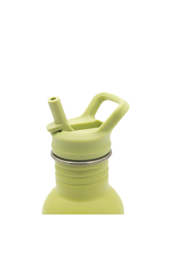 Botella Acero Inox Dinosaurio SASSI 