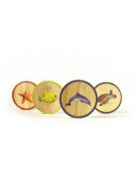 Circles Los Animales Marinos NOWORDBOOKS
