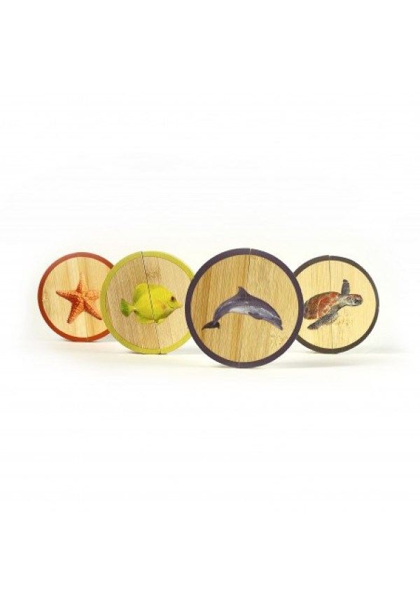 Circles Los Animales Marinos NOWORDBOOKS