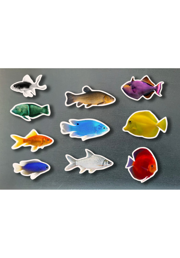Piezas Magnéticas de Bambú de Peces de Colores NOWORDBOOKS