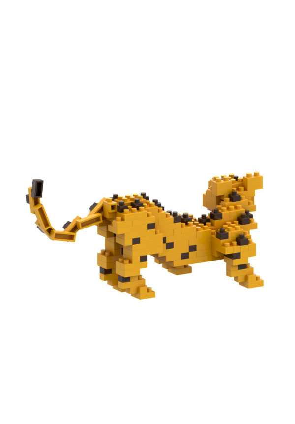 LEOPARDO BRIXIES