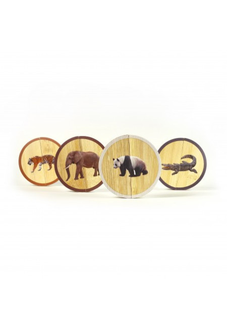 Circles Los Animales Salvajes NOWORDBOOKS