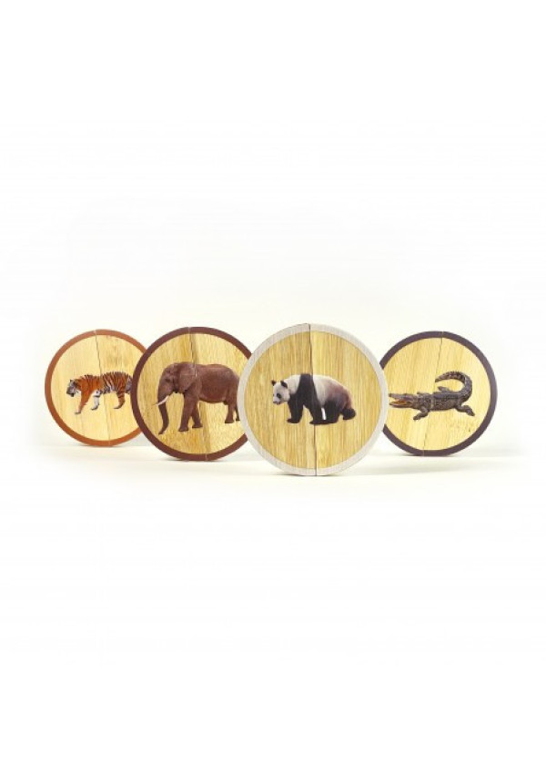 Circles Los Animales Salvajes NOWORDBOOKS