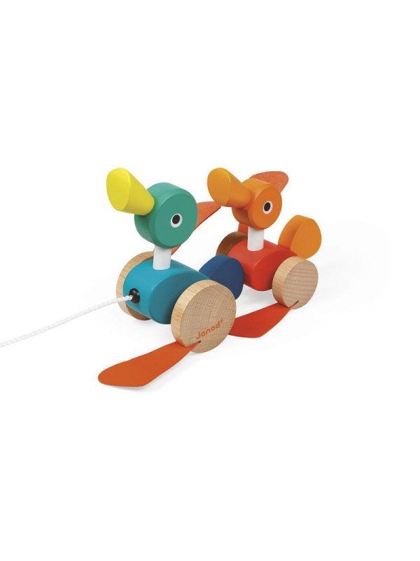 PATOS PARA PASEAR ZIGOLOS JANOD