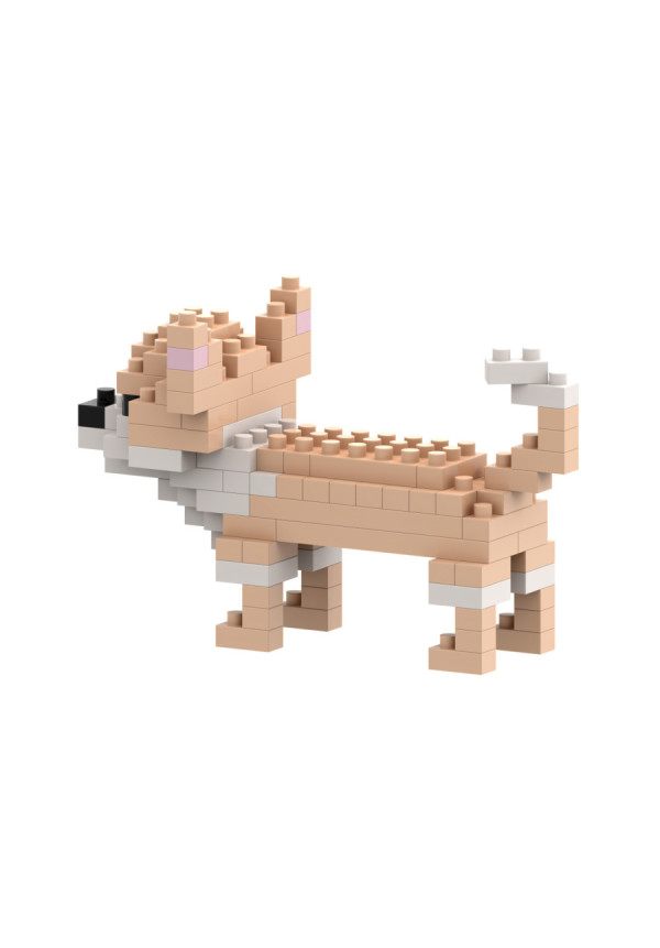 CHIHUAHUA BRIXIES