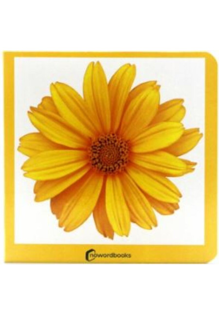 LIBRO Amarillo Carton