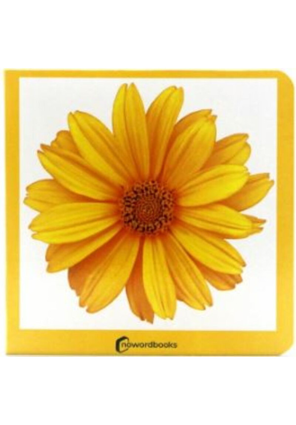 LIBRO Amarillo Carton