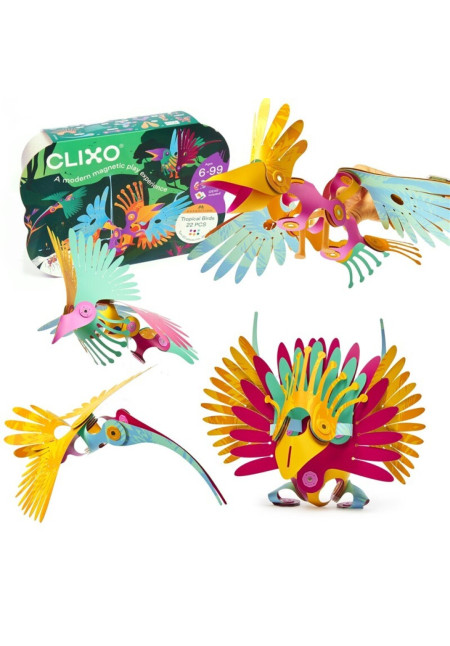 Tropical Birds CLIXO