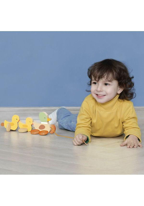 Arrastre Familia de patitos CLASSIC WORLD