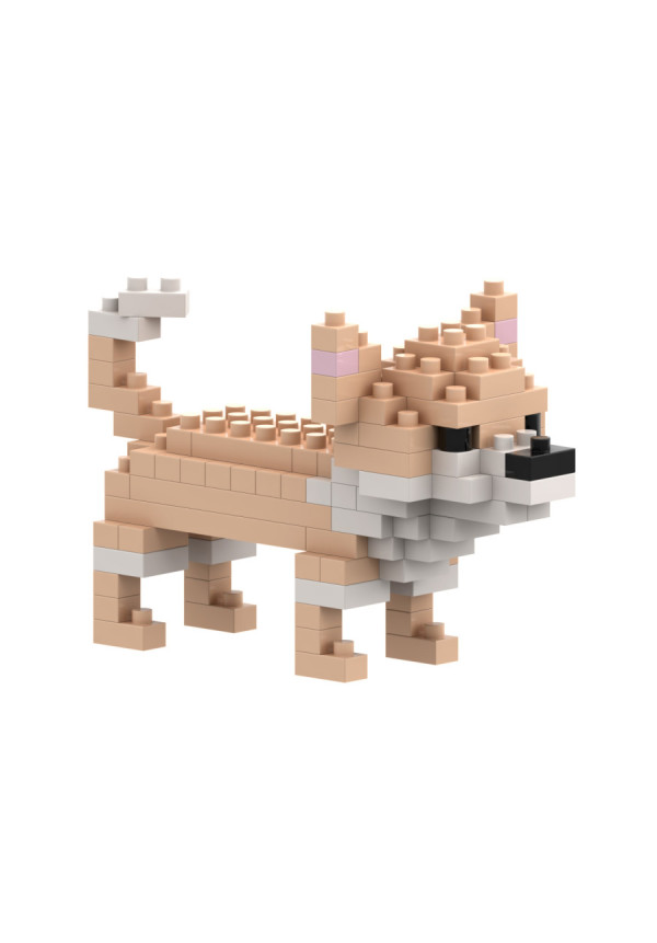 CHIHUAHUA BRIXIES