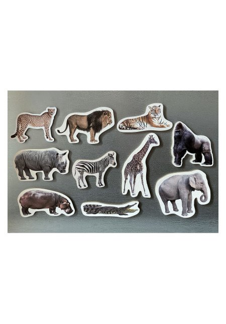Piezas Magnéticas de Bambú de Animales Salvajes NOWORDBOOKS