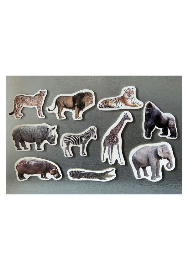 Piezas Magnéticas de Bambú de Animales Salvajes NOWORDBOOKS