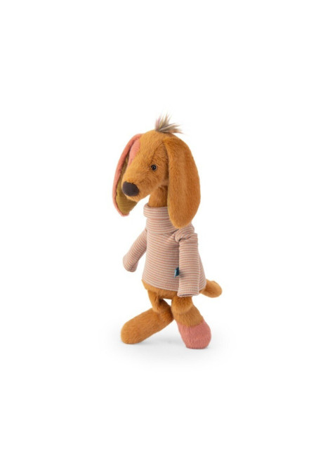 Teckel Owen Bande à Jojo MOULIN ROTY