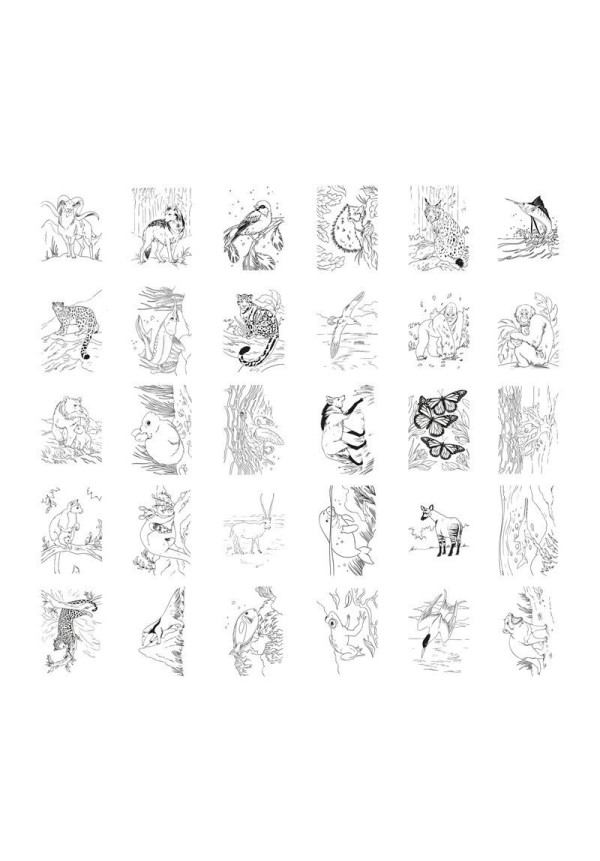 KIDYDRAW PAD Animales