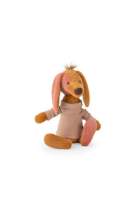 Teckel Owen Bande à Jojo MOULIN ROTY