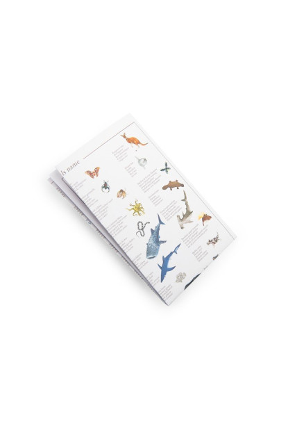  Juego Busca y Encuentra Tout autour du monde MOULIN ROTY