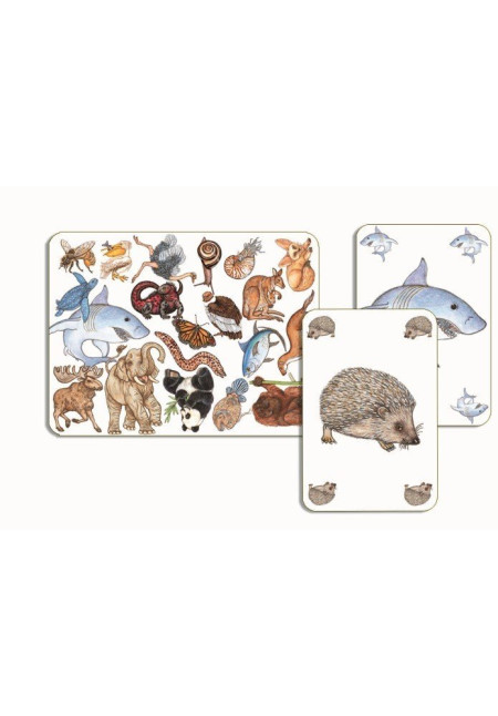  Cartas Zanimatch DJECO