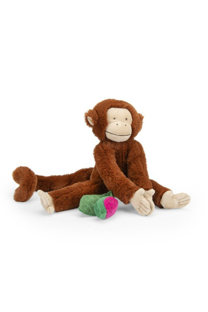 Mono Mochica de actividades Forêt Mawa MOULIN ROTY